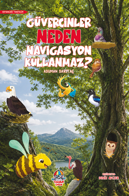 HAYVANLARI TANIYALIM - GÜVERCİNLER NEDEN NAVİGASYON KULLANMAZ?